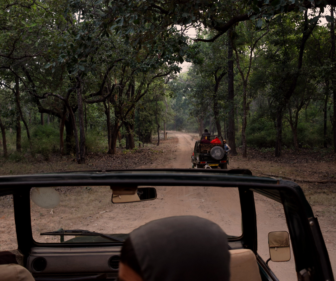 Bandhavgarh Fun Tour with 1 Gypsy Safari (1N/2D)